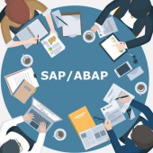 SAP導入開発支援